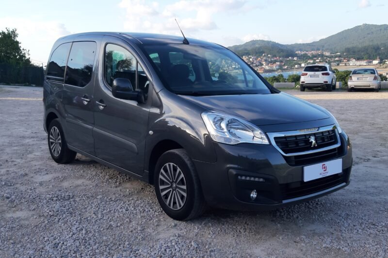 PEUGEOT PARTNER 1.6 hdi 100 cv Tepee