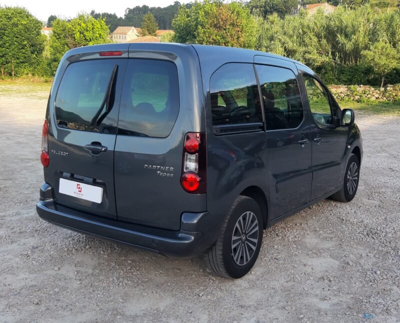PEUGEOT PARTNER 1.6 hdi 100 cv Tepee