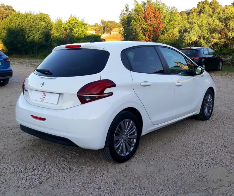 PEUGEOT 208 1.6 hdi 100 cv Style