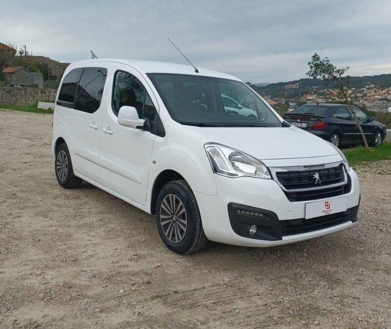 PEUGEOT PARTNER 1.6 hdi 100 cv Active
